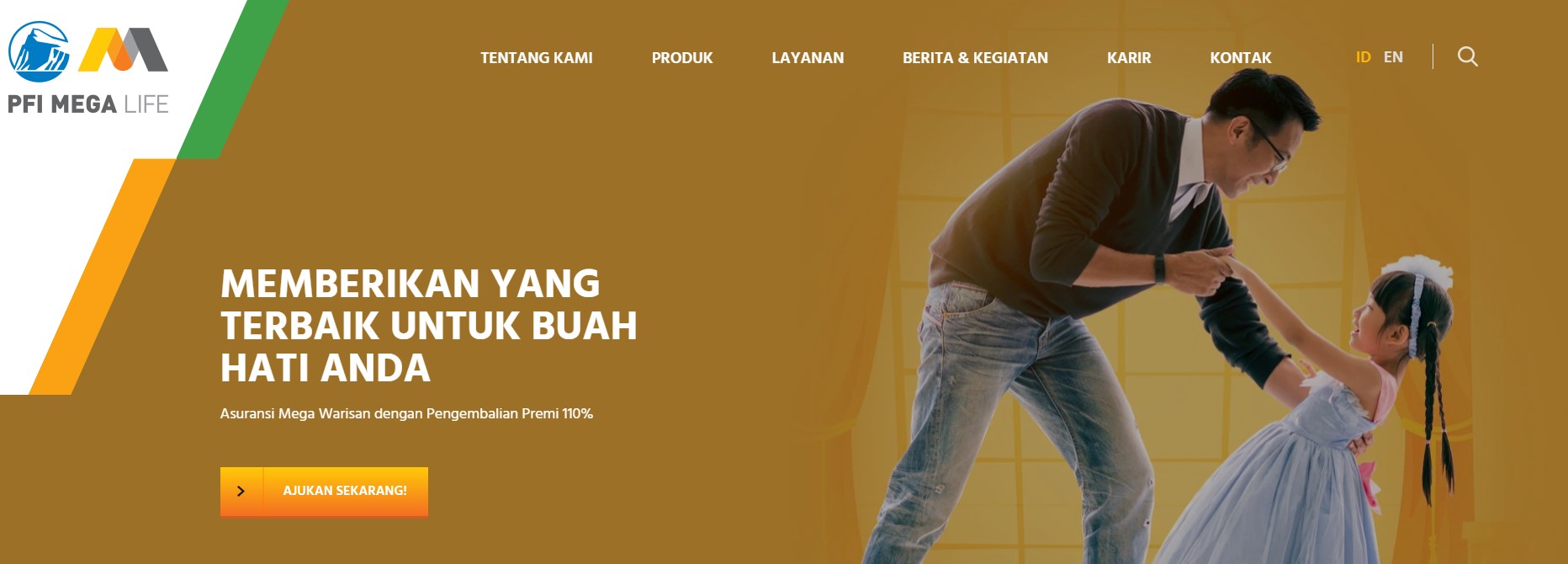 fungsi asuransi